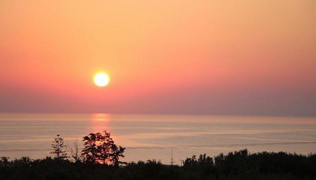 Mareva Apartments - Photo 2