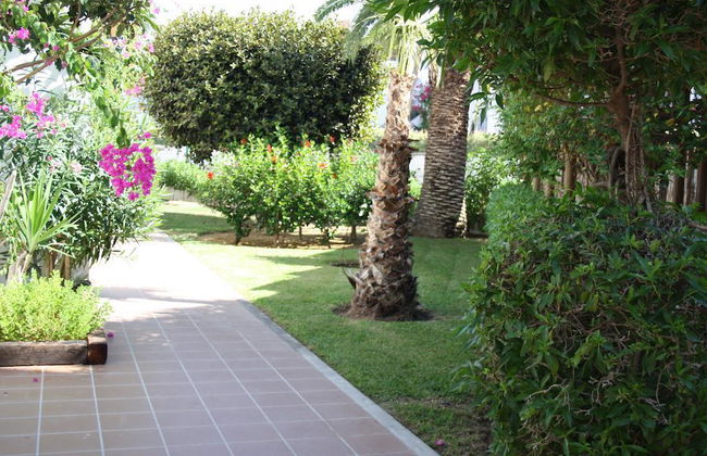 Torrelaguna - Foto 11