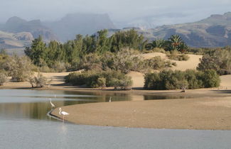 Photo 2 - El Capricho