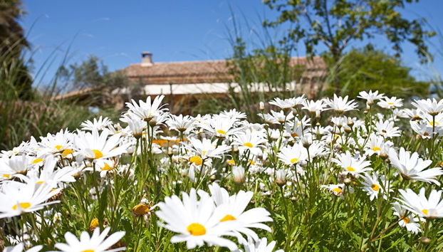Na Martina - Foto 2