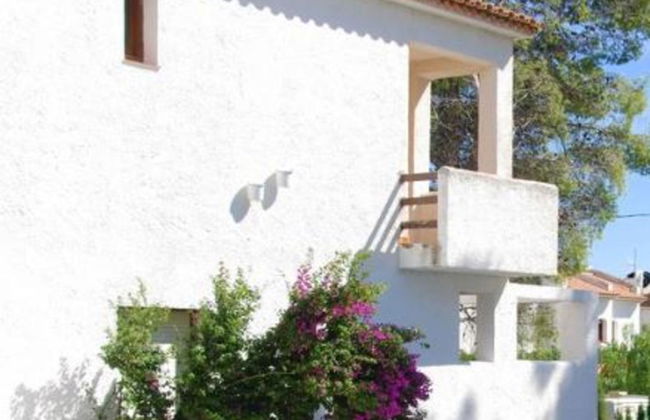 El Pinar - Foto 2