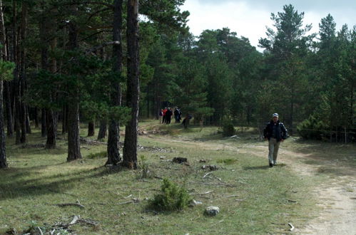 Photo 44 - Apartamentos Rurales Sierra de Gúdar