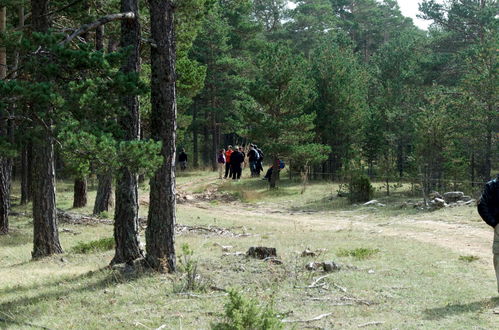 Photo 45 - Apartamentos Rurales Sierra de Gúdar