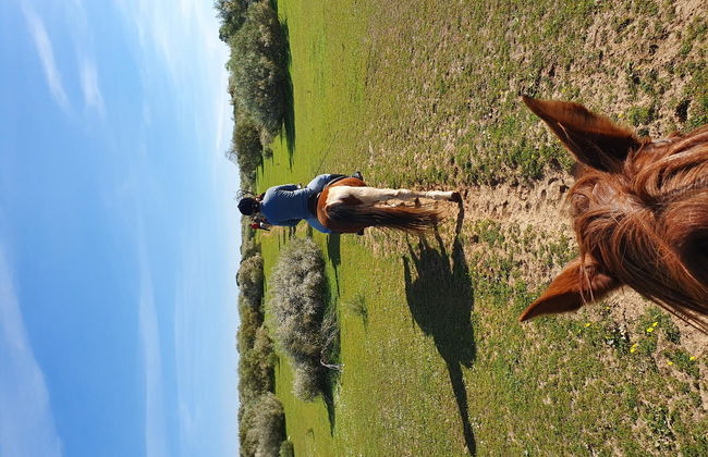 Quinta Pedra Dos Bicos - Foto 23