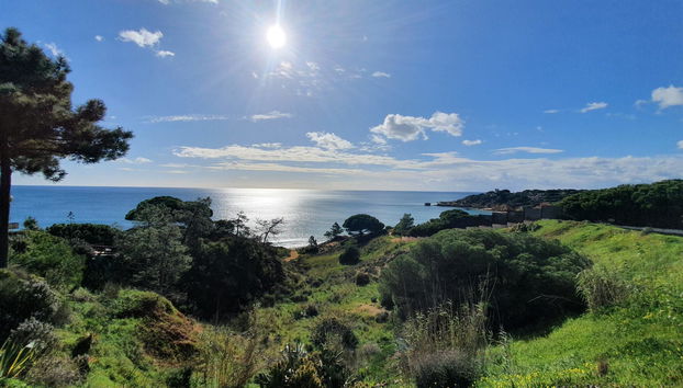 Quinta Pedra Dos Bicos - Foto 3