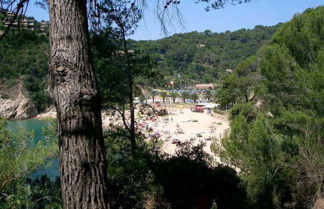 Arenas Resort Giverola - Photo 41