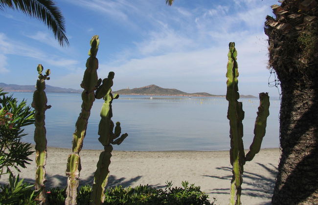 Apartamentos Tesy - Foto 44