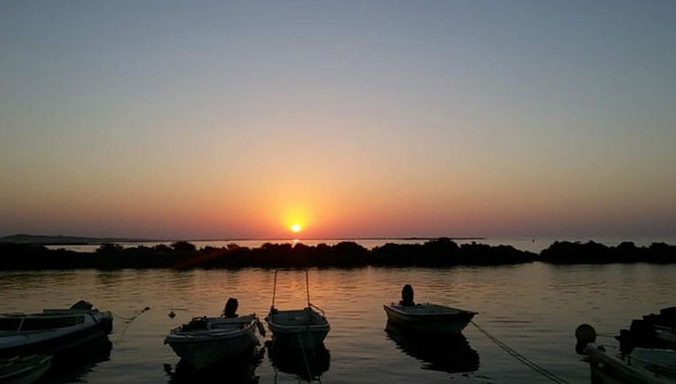 Estudios Salinas - Photo 5