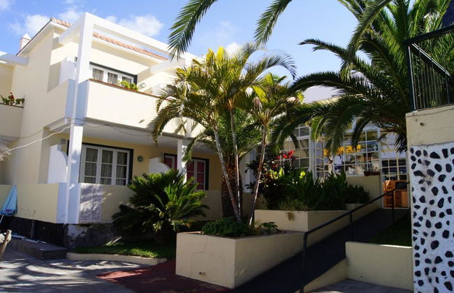 Laurisilva - Foto 5
