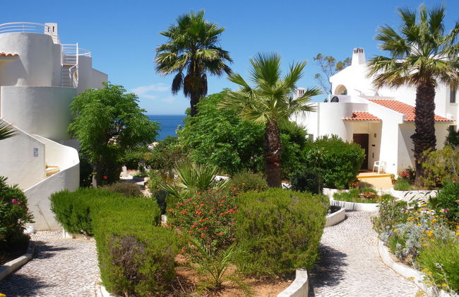 Monte Dourado - Foto 5