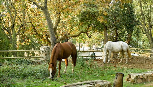 Hotel y Apartamento Sercotel Villa Engracia - Photo 2