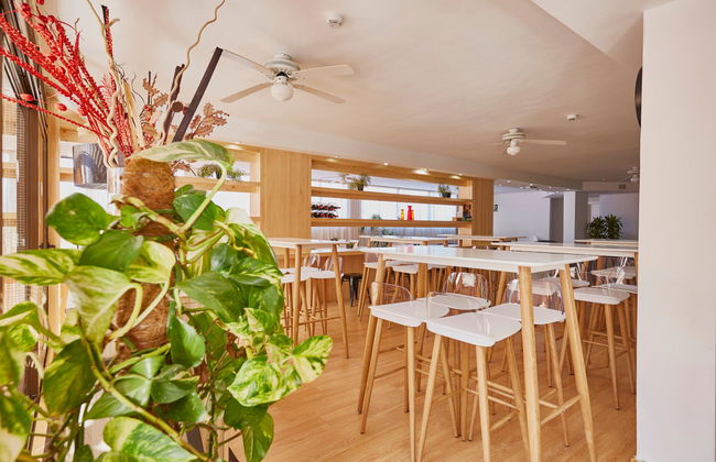 Coral Los Alisios - Foto 36