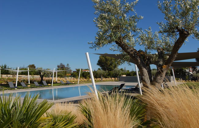 Quinta do Algarvio - Foto 23