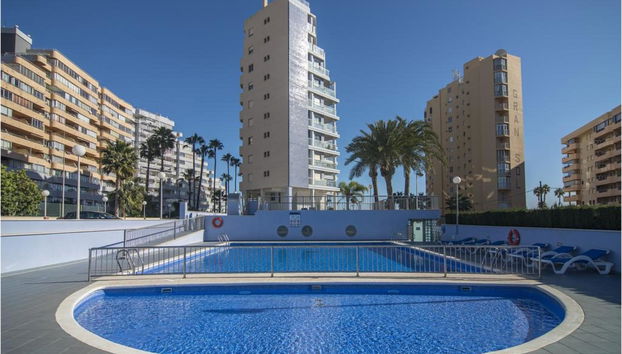 Hipocampos - Foto 2