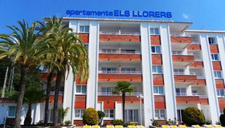 Foto 1 - Els Llorers