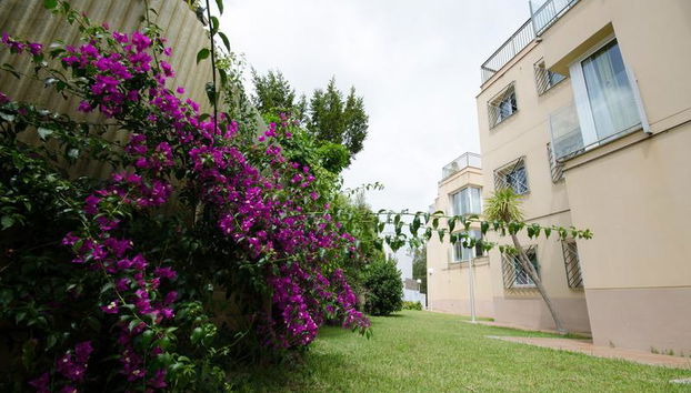 Els Llorers - Foto 3