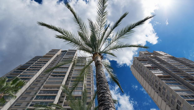 Apartamentos Gemelos 20 - Foto 3