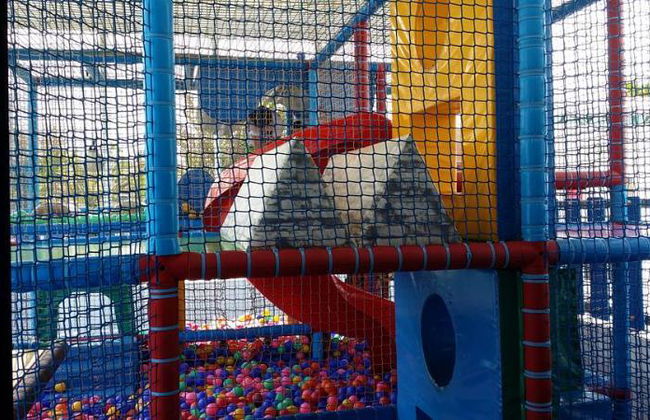 Relaxia Lanzasur Club - Photo 19