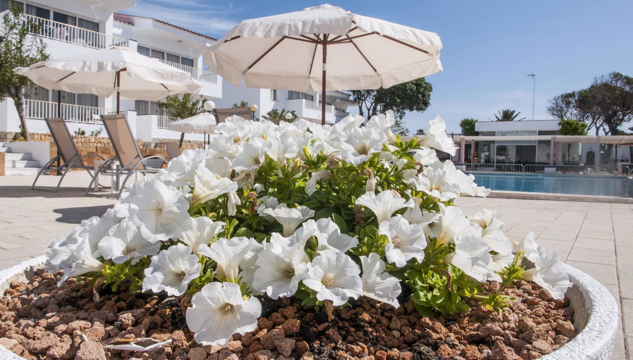 Naranjos Resort Menorca - Foto 1