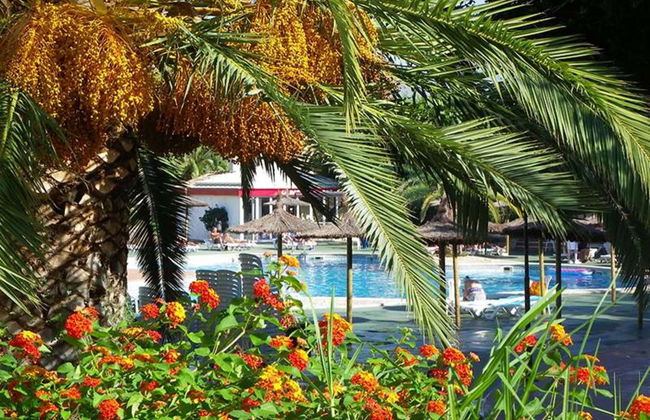 Albir Garden Resort & Aquapark - Foto 12