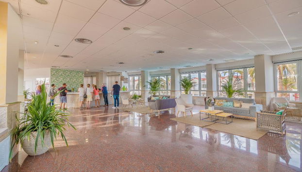 Apartamentos LIVVO Koala Garden - Foto 4