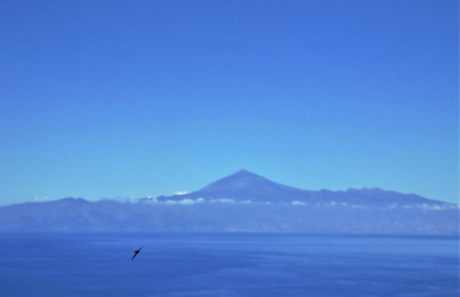 Casa Los Helechos - Foto 6