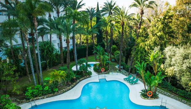 Monarque Sultan - Foto 4