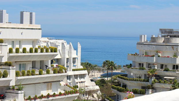Monarque Sultan - Foto 2
