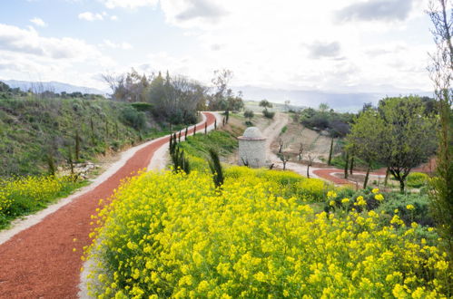 Photo 28 - Cortijo La Organic