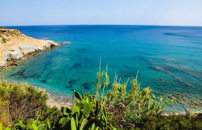 Elenas Beach Garden by Estia - Foto 7