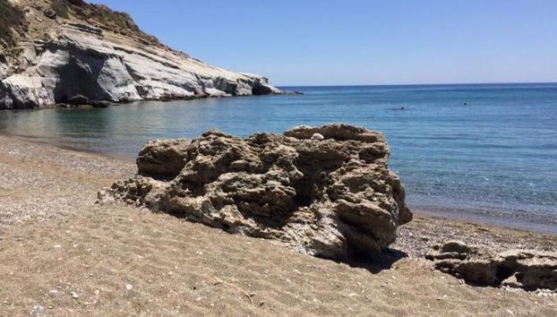 Elenas Beach Garden by Estia - Foto 4