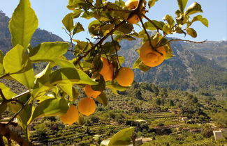 Foto 1 - Sa Tanqueta de Fornalutx