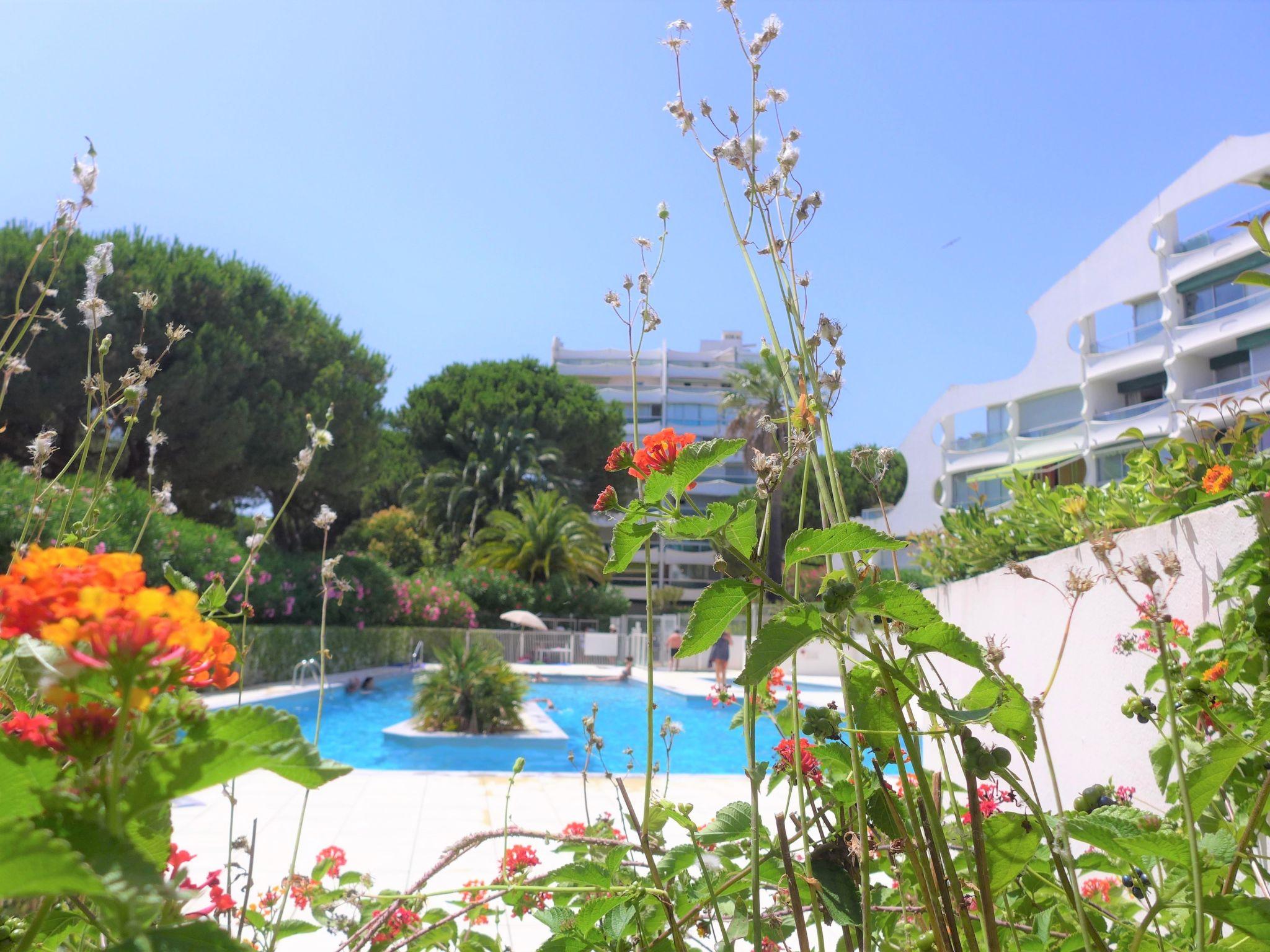 Photo 5 - Appartement en La Grande-Motte avec piscine et vues à la mer