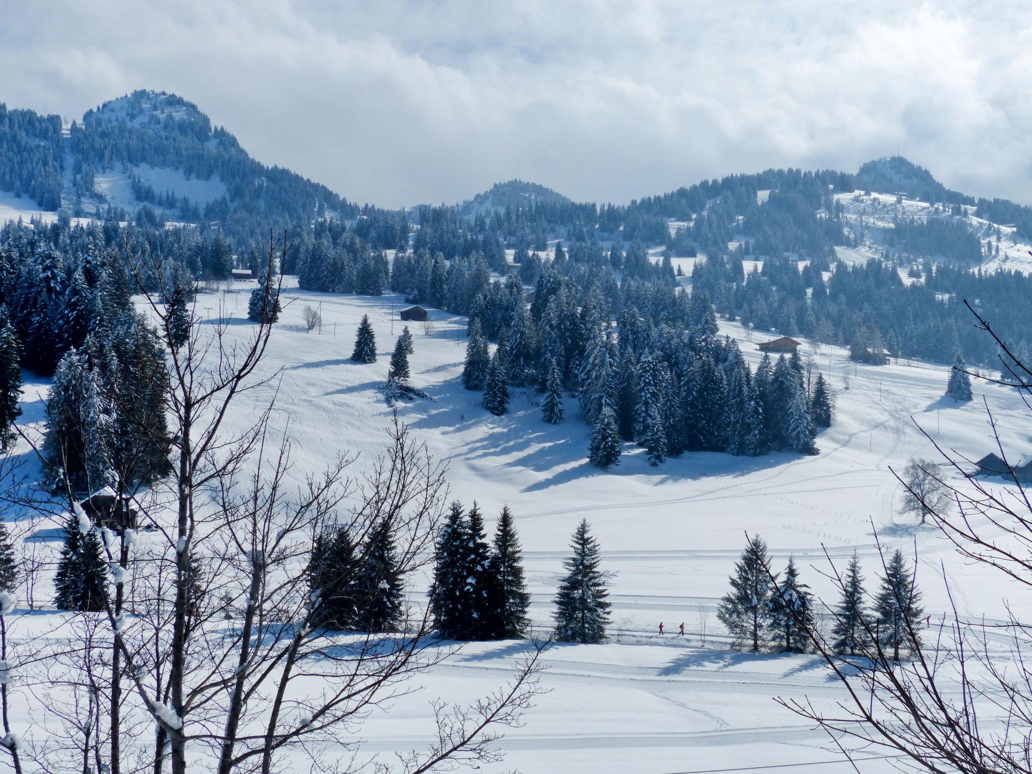 Photo 33 - 2 bedroom Apartment in Saanen with garden