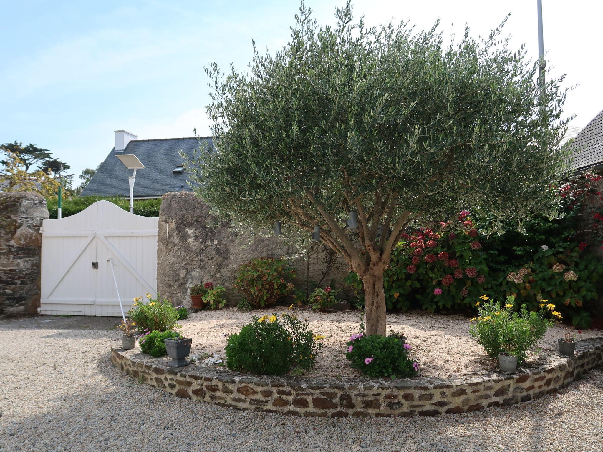 Photo 27 - 3 bedroom House in Binic-Étables-sur-Mer with garden and terrace