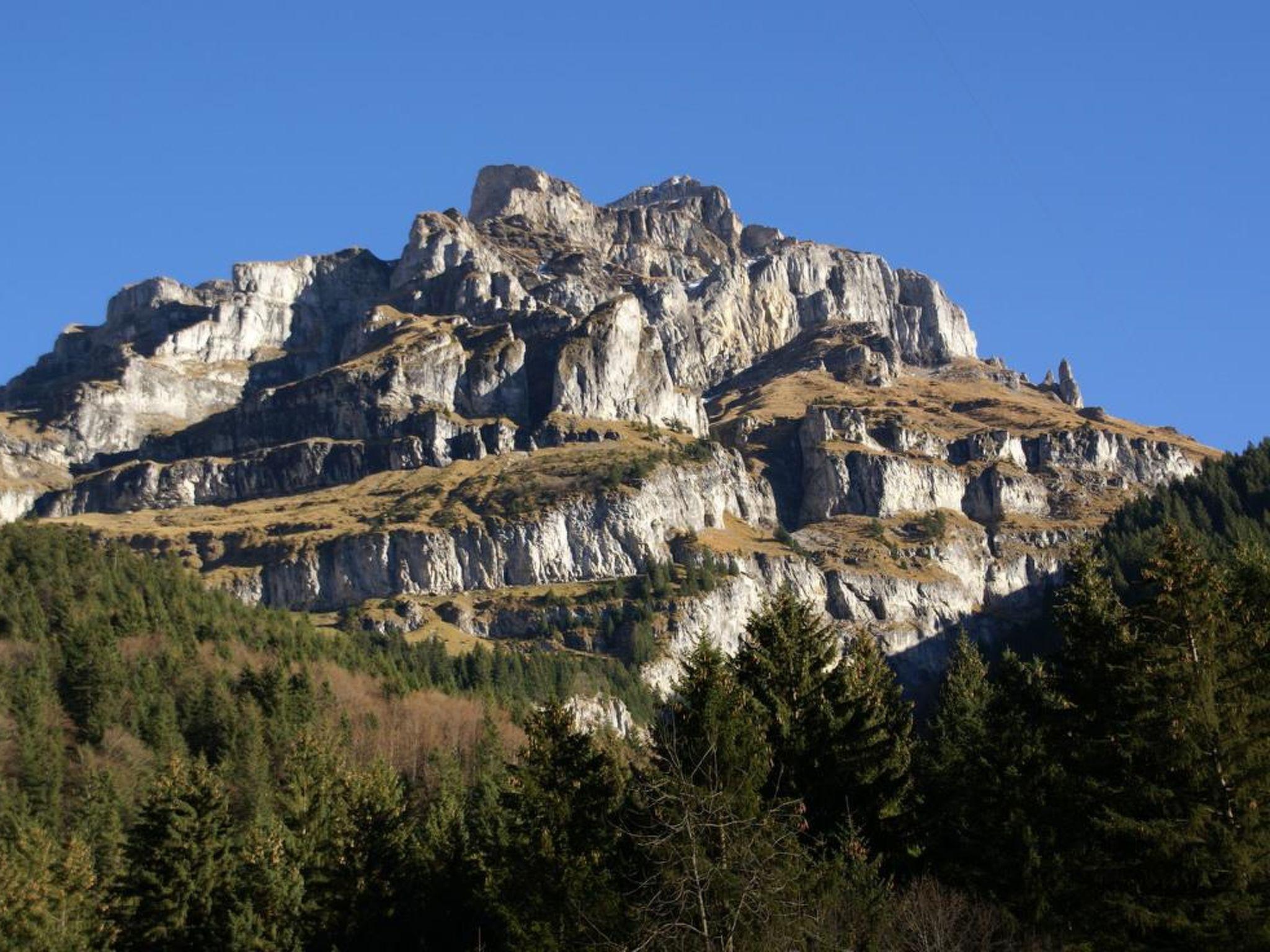 Photo 19 - 4 bedroom Apartment in Engelberg with garden