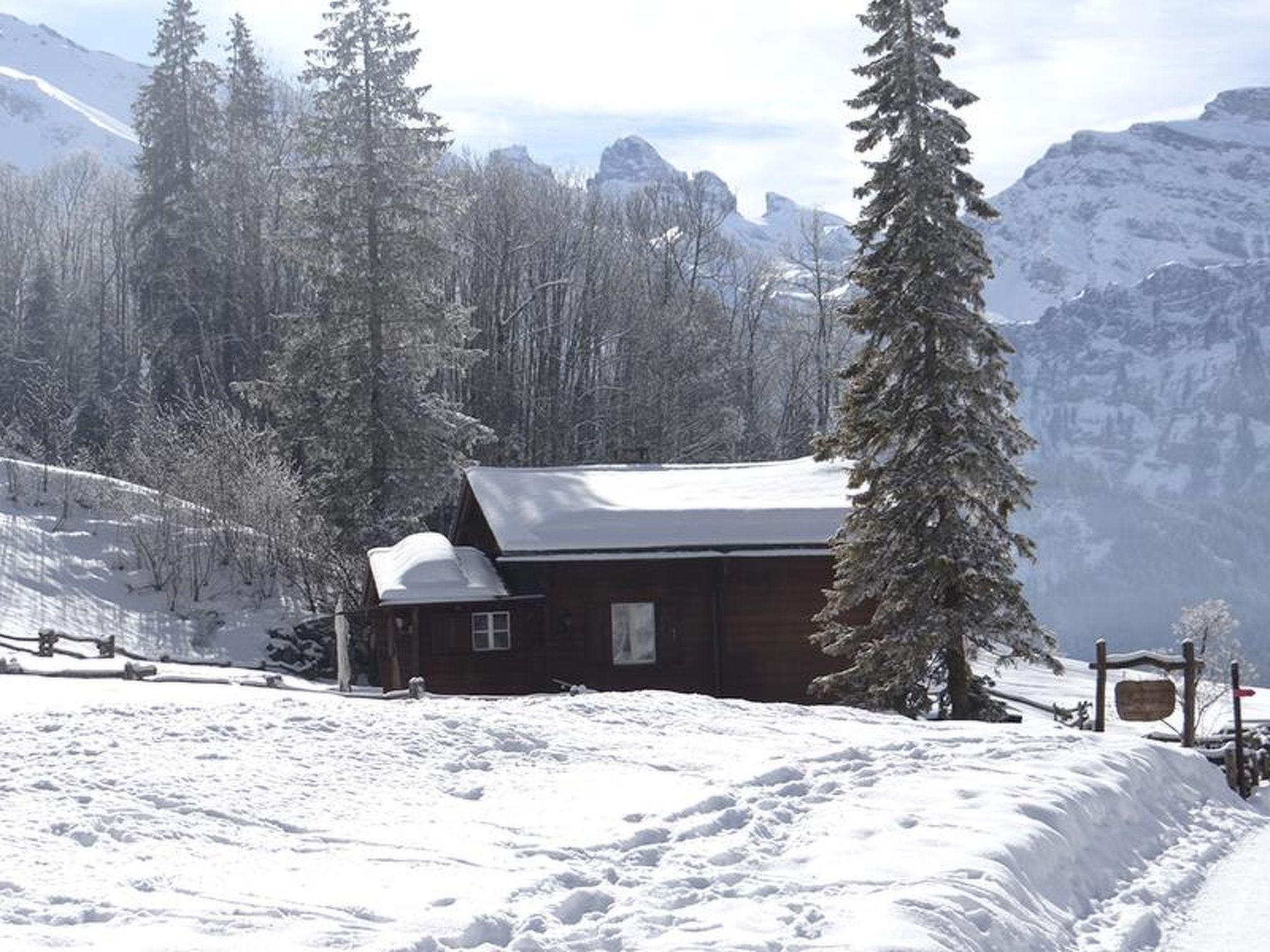 Foto 5 - Apartamento de 4 quartos em Engelberg com jardim