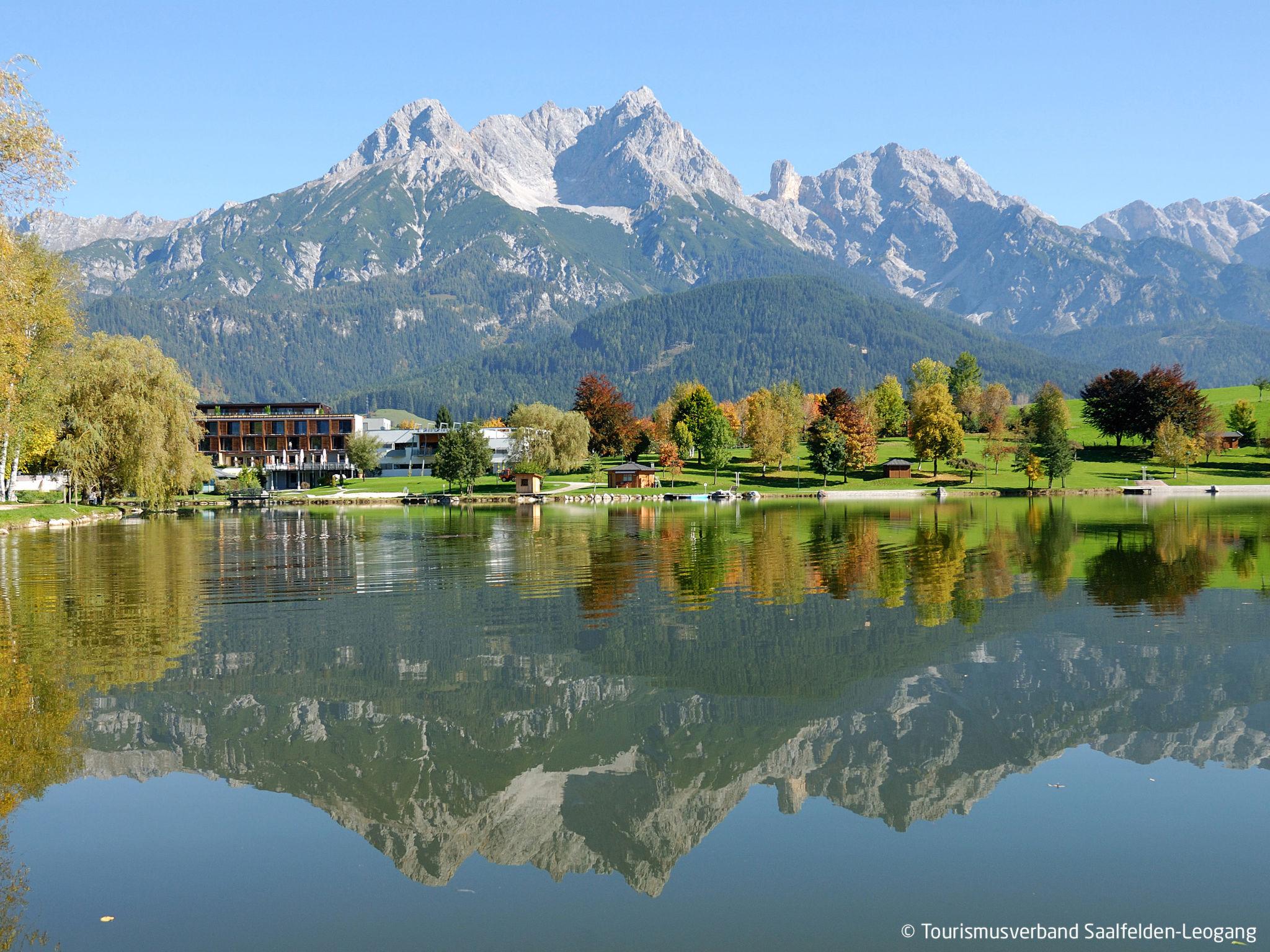 Photo 25 - 1 bedroom Apartment in Saalfelden am Steinernen Meer with mountain view