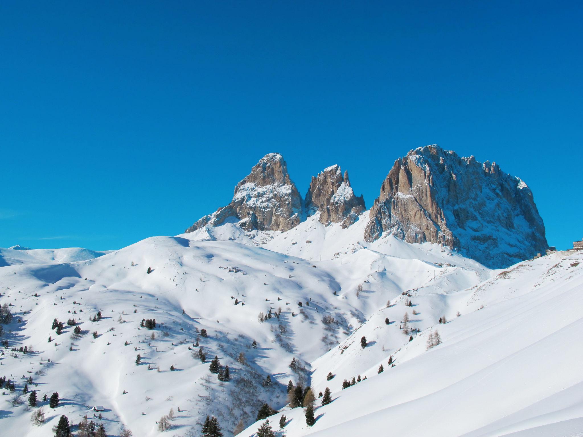 Photo 26 - Appartement de 1 chambre à Campitello di Fassa avec vues sur la montagne