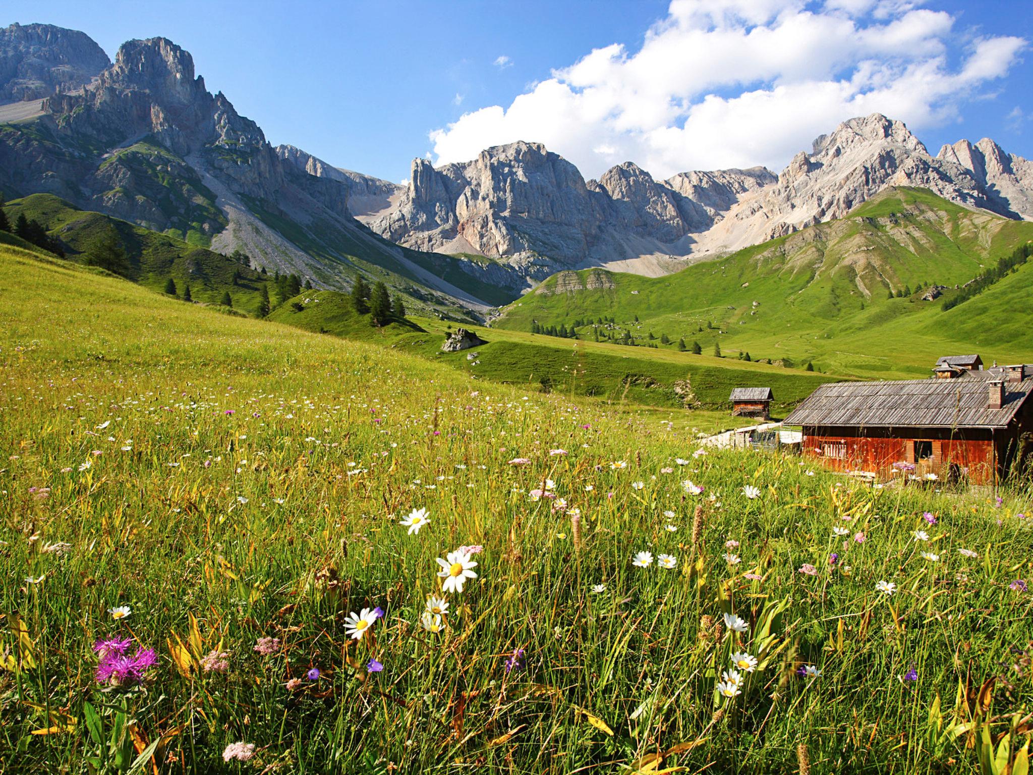 Foto 55 - Appartamento con 10 camere da letto a Soraga di Fassa con giardino e sauna