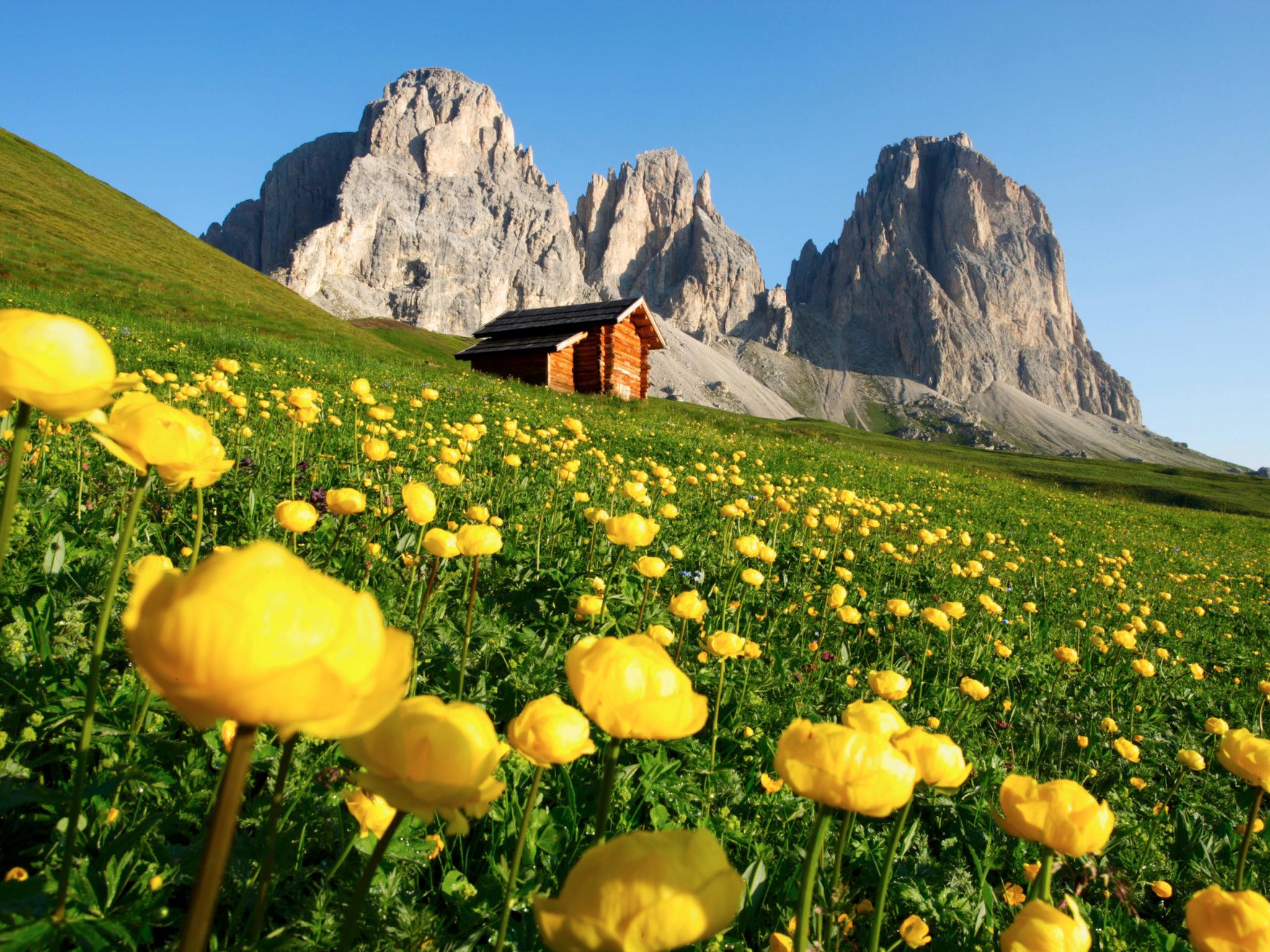 Foto 58 - Appartamento con 10 camere da letto a Soraga di Fassa con sauna