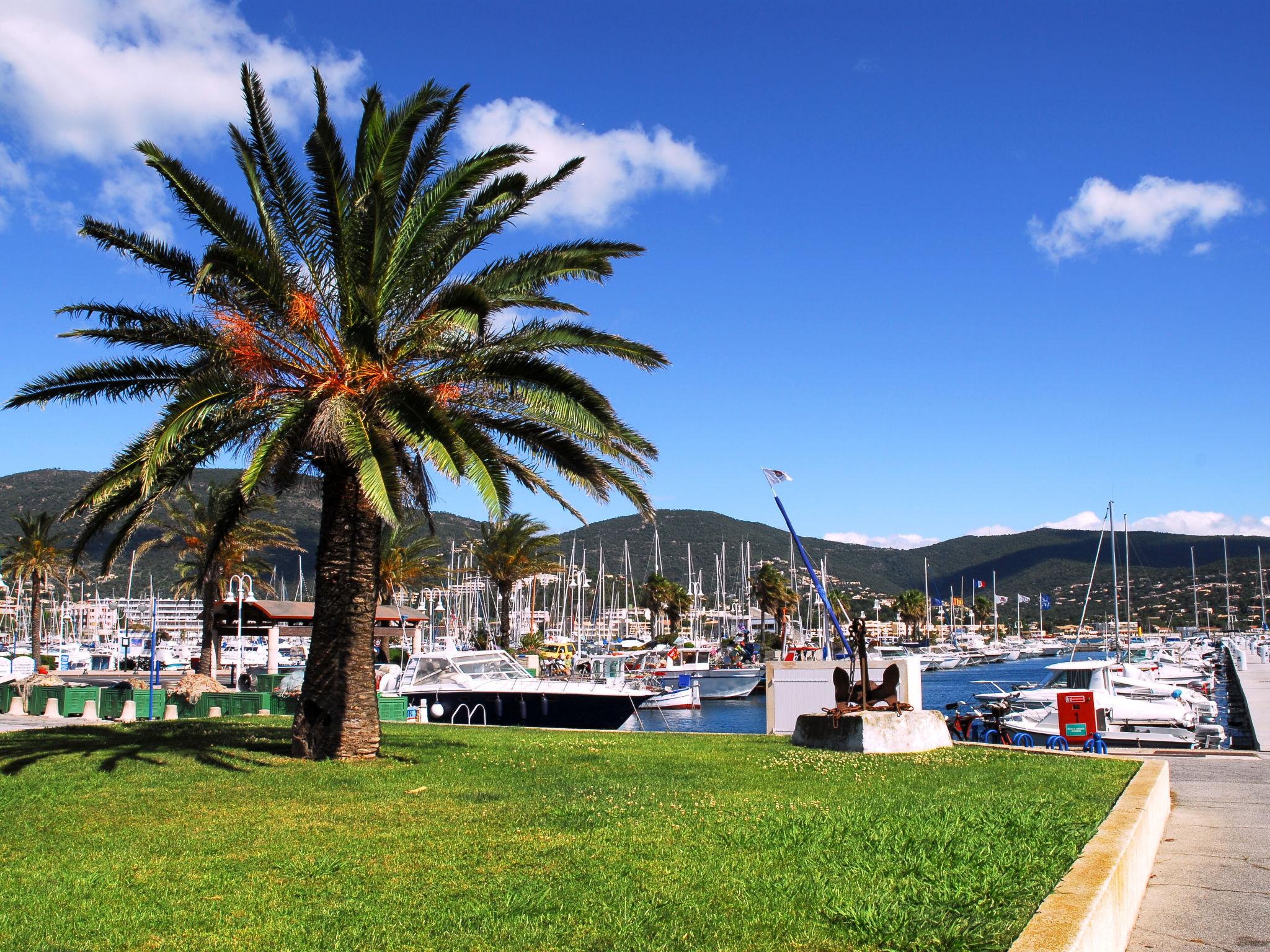 Foto 17 - Appartamento con 1 camera da letto a Cavalaire-sur-Mer con terrazza