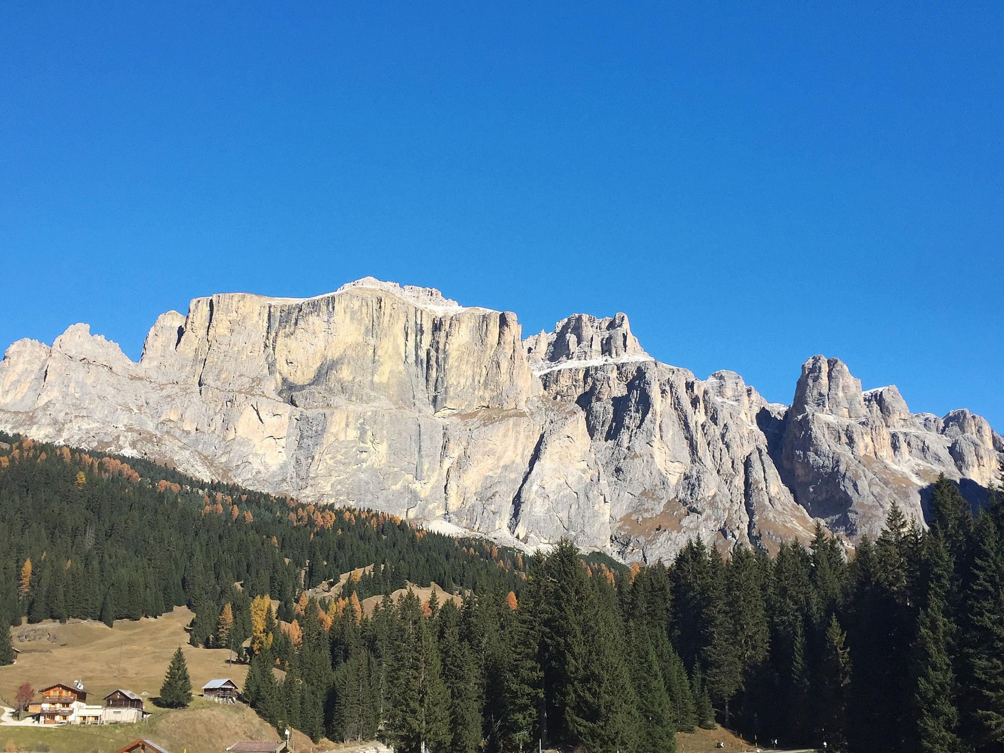 Photo 25 - Appartement de 1 chambre à Campitello di Fassa avec vues sur la montagne