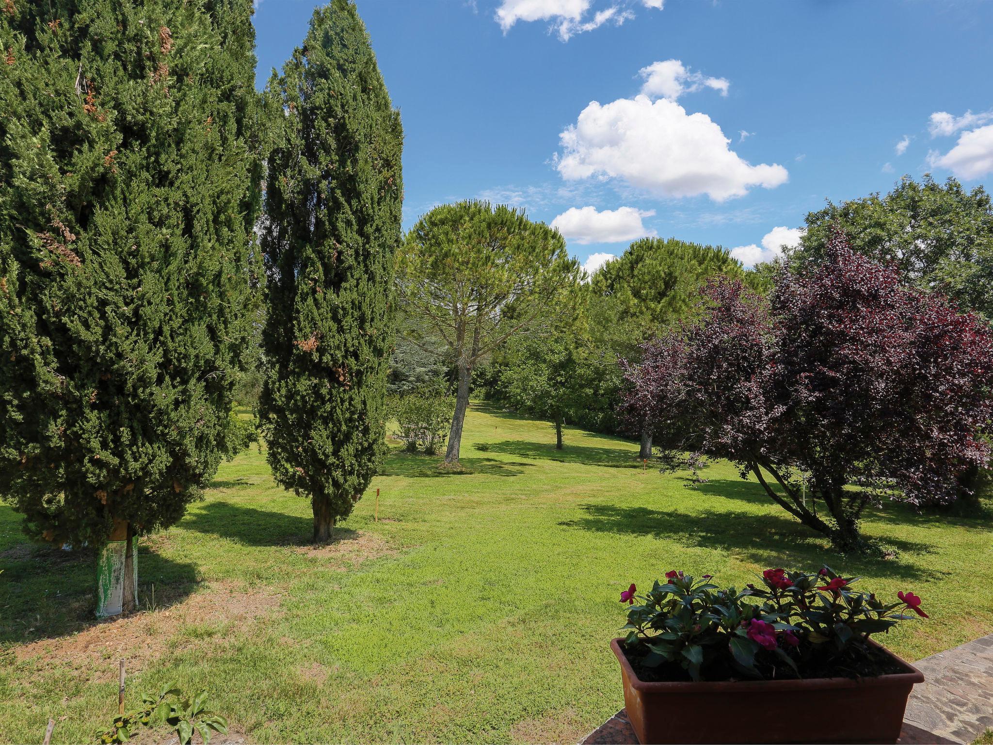 Foto 17 - Casa con 2 camere da letto a Terricciola con piscina e giardino