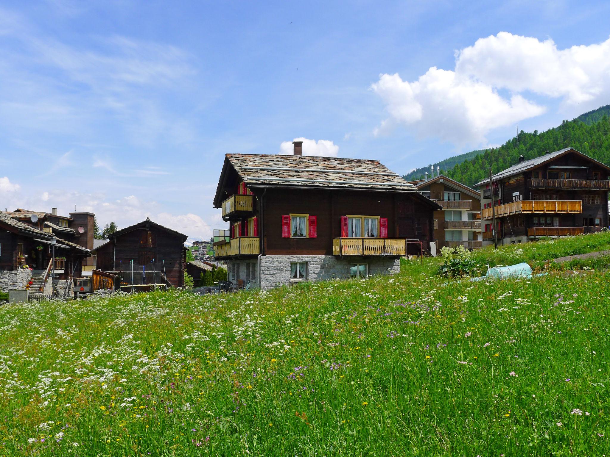 Foto 17 - Appartamento con 1 camera da letto a Grächen con giardino e vista sulle montagne