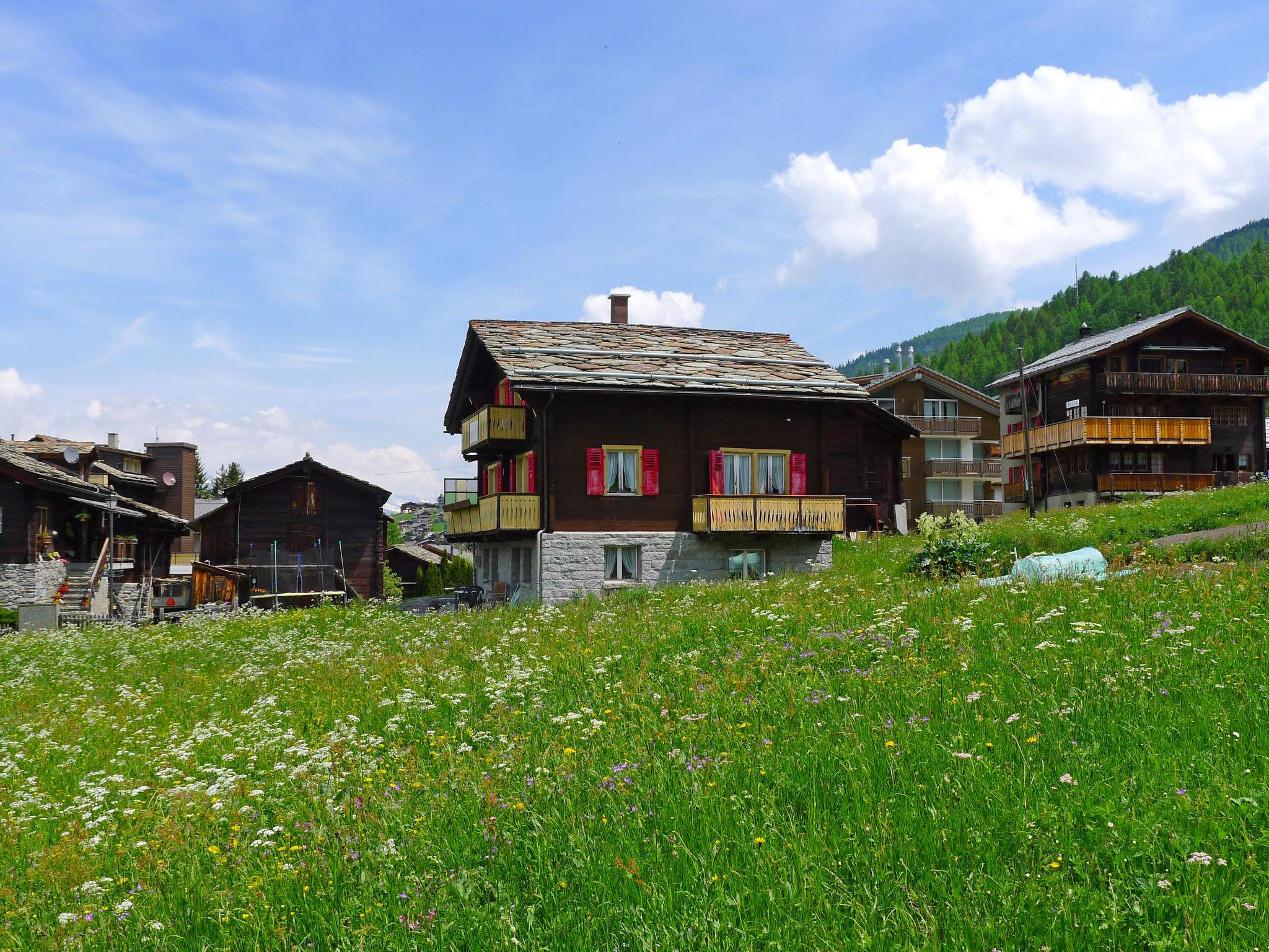 Photo 12 - 2 bedroom Apartment in Grächen with garden and mountain view