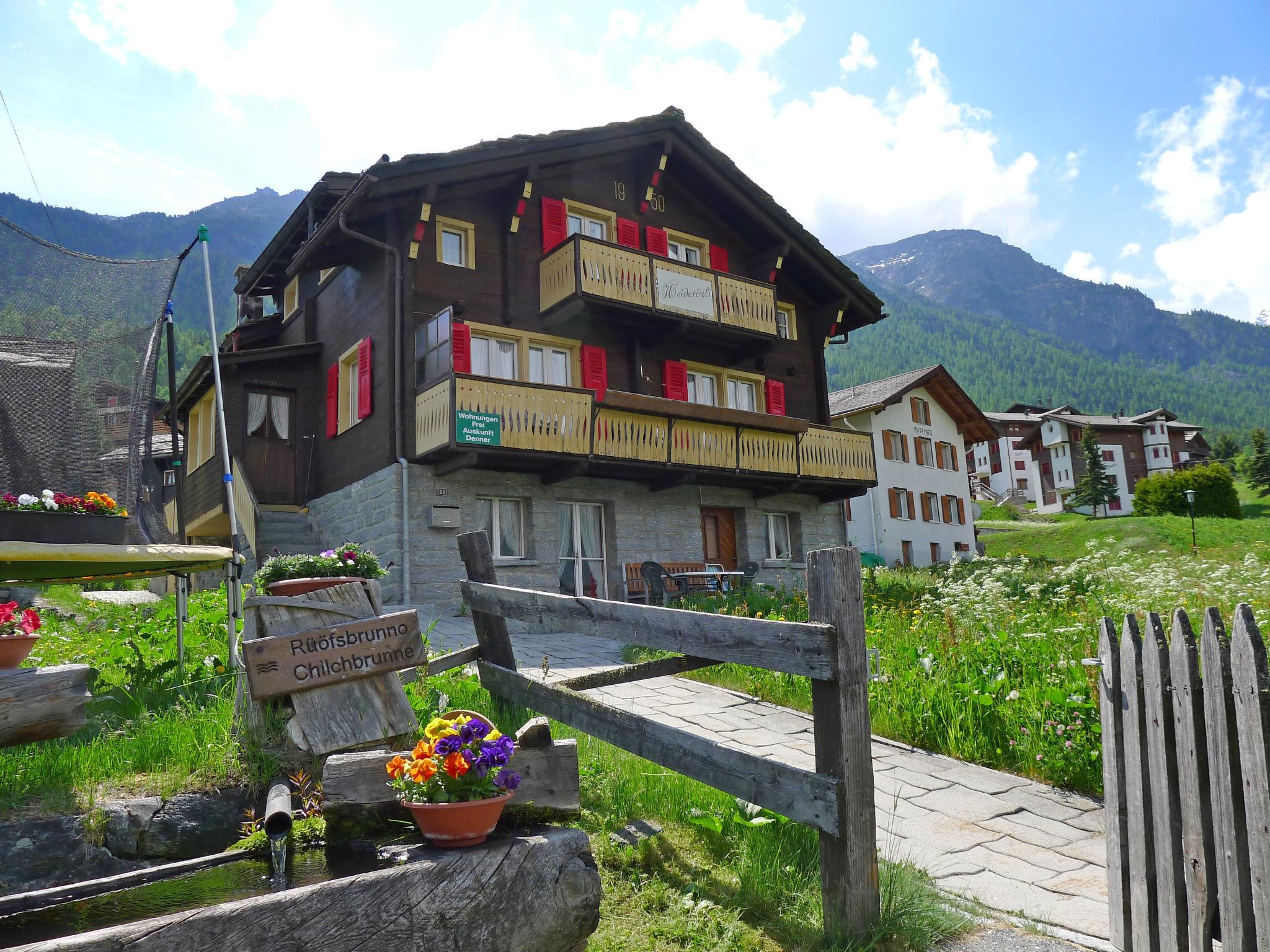 Photo 1 - Appartement de 2 chambres à Grächen avec jardin et vues sur la montagne