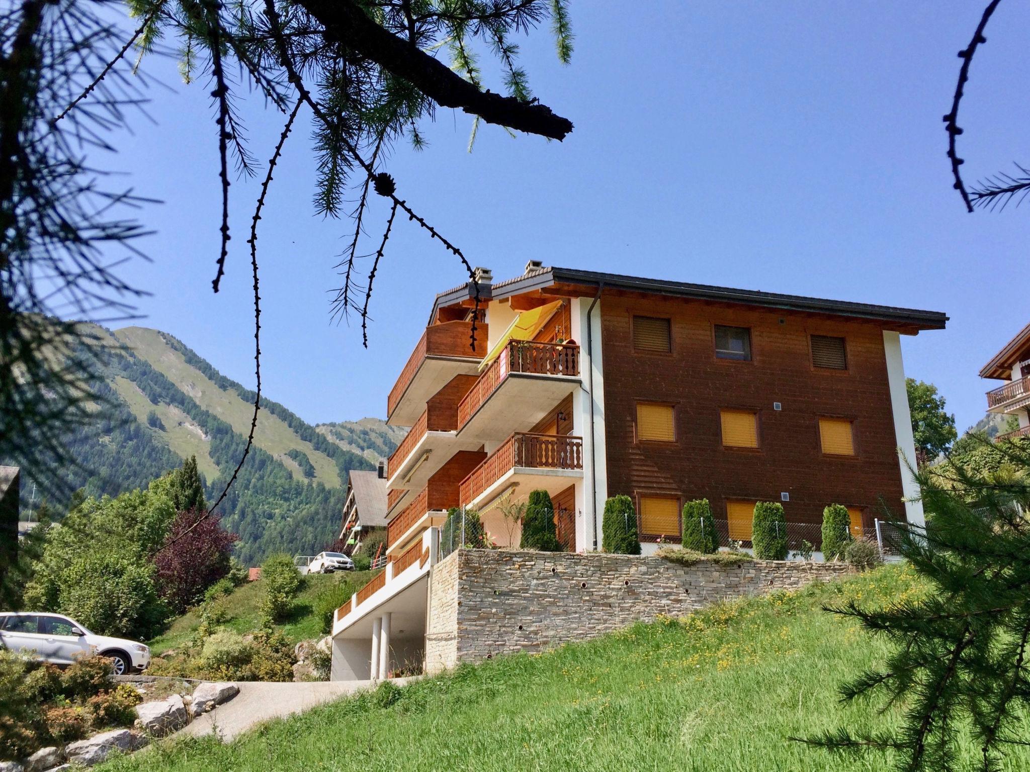 Photo 16 - 1 bedroom Apartment in Leytron with mountain view