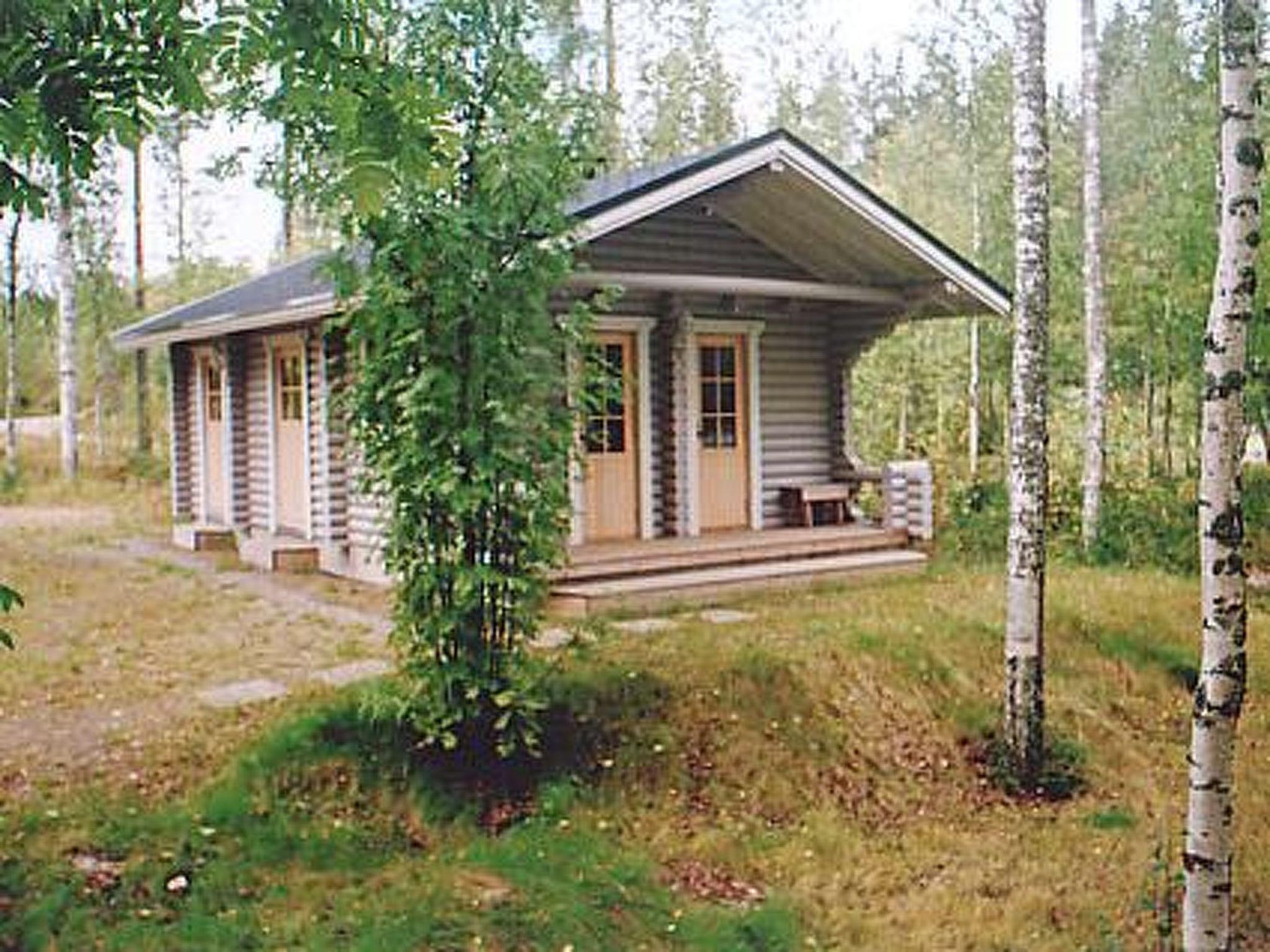 Foto 12 - Casa de 1 habitación en Hankasalmi con sauna