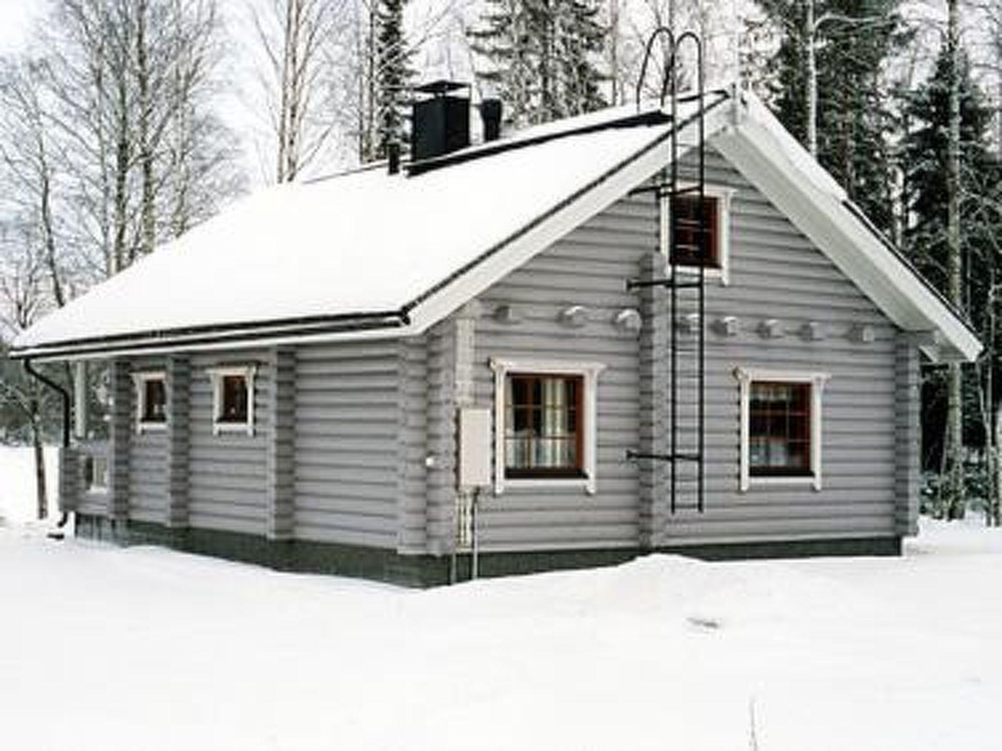 Foto 2 - Haus mit 1 Schlafzimmer in Hankasalmi mit sauna